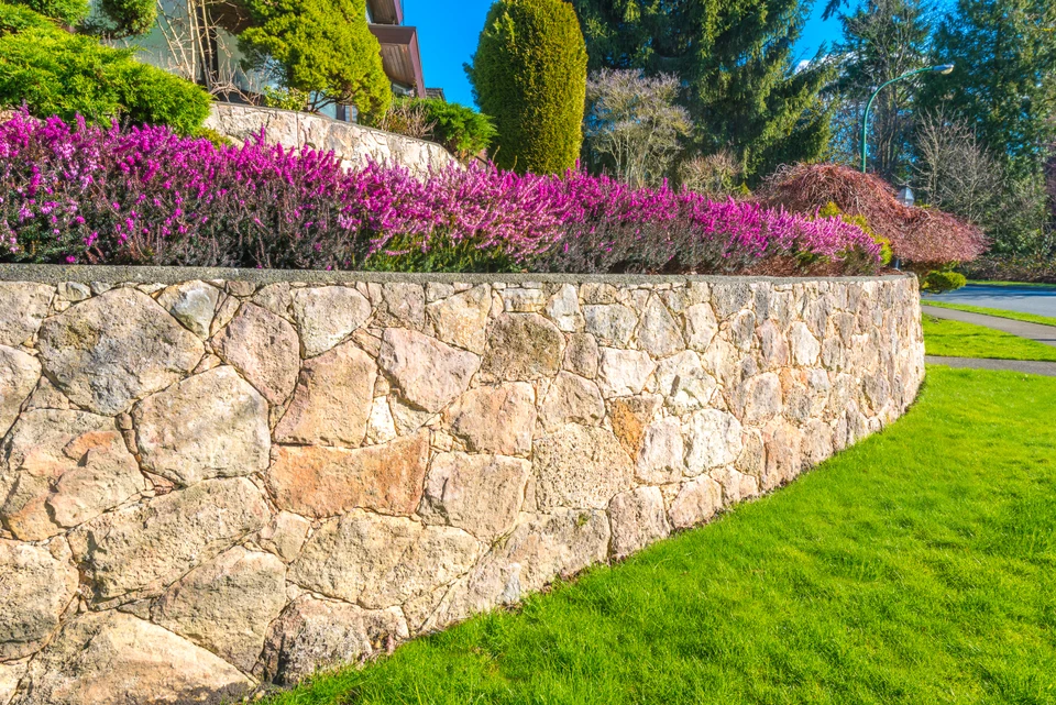 Aménagement paysager extérieur avec mur de soutènement en pierres naturelles beiges et ocres, massif de plantes à floraison violette en arrière-plan, pelouse verte au premier plan et végétation arborée dense